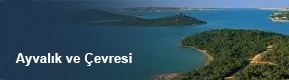Konum ve Çevremiz